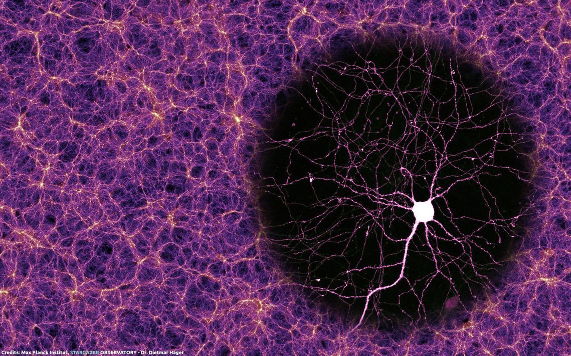 The cosmic web and the neuron