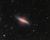 Galaxie M 82