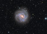 M83 – Die Feuerradgalaxie des Südens