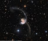 Die Antennengalaxie Arp 244 - eine Verschmelzung von NGC 4038 und NGC 4039