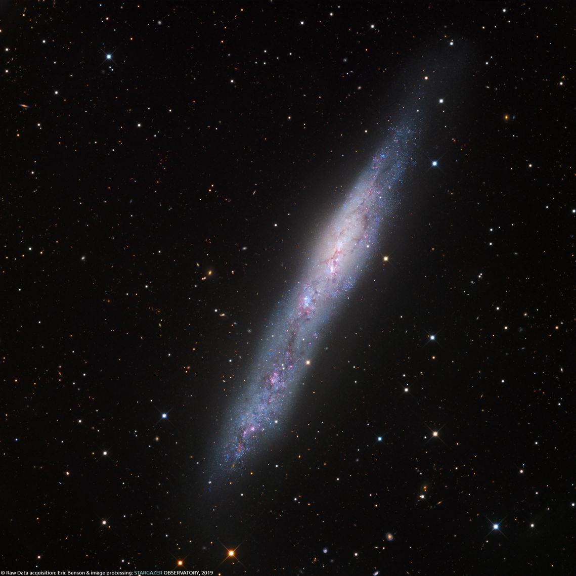NGC 55 - Eine Galaxis in direkter Nachbarschaft