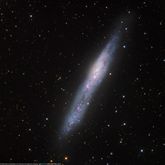 NGC 55 - Galaxie im Sternbild Bildhauer